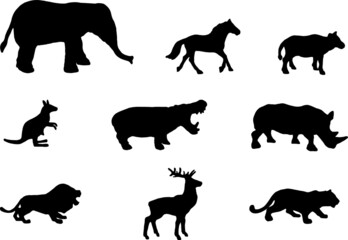 concept vector design