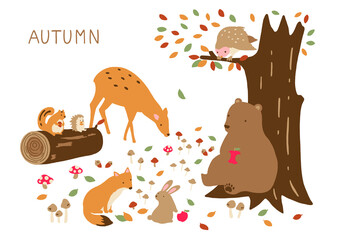 秋　動物　イラスト