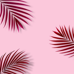 Natural purple palm leaf on pastel pink  background, flat lay