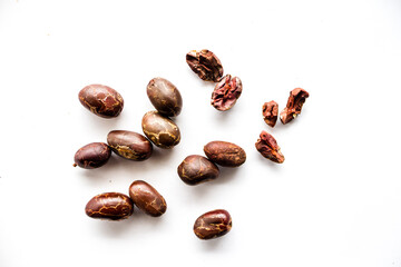 Granos de cacao tostado para elaboración de chocolate