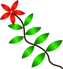 flower design background