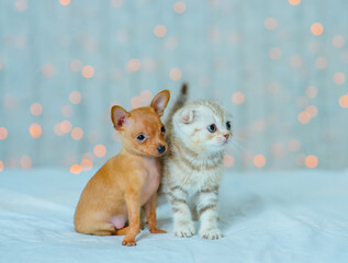 Fototapeta na wymiar Cute striped kitten and puppy are sitting next to each other against the background of white-yellow lights on a white blanket and look to the side