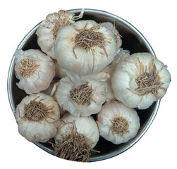 garlic on white background