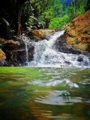 small waterfall in the forest