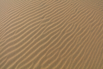Natural Beach Landscape