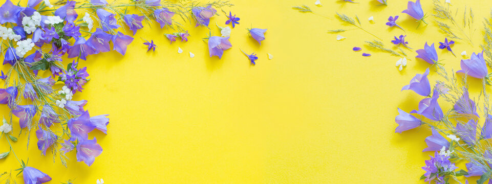 Blue Wild Flowers On Yellow Background