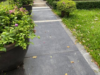 grey concrete pathway in the park