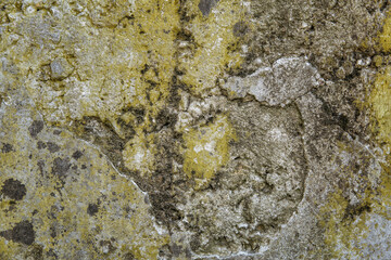 Old concrete wall with moss and destruction