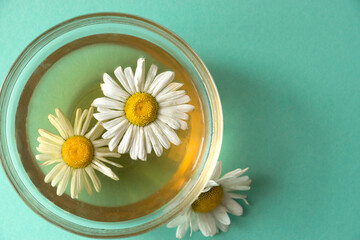 Close-up of useful chamomile tea on a light green background. Chamomile flowers in a cup with tea, copyspace