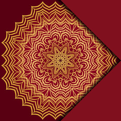 Mandala background. Vector illustration. For book cover