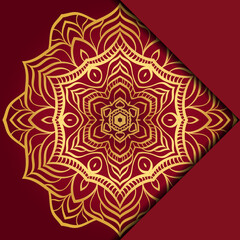Mandala background. Vector illustration. For book cover