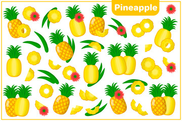 Set of vector cartoon illustrations with Pineapple exotic fruits, flowers and leaves isolated on white background