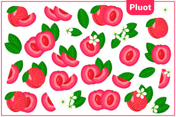 Set of vector cartoon illustrations with Pluot exotic fruits, flowers and leaves isolated on white background