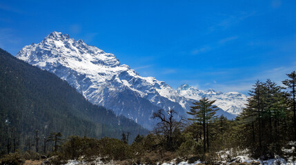Beautiful scenic image of the Himalayan range as seen from Yumthang valley in Sikkim, India