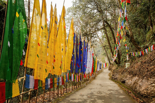 way to samdruptse temple, namchi, Sikkim