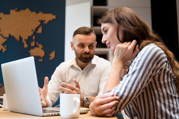 Two office members using laptop during working meeting