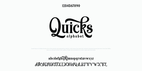 Custom font bundle script serif. Alphabet vector illustration