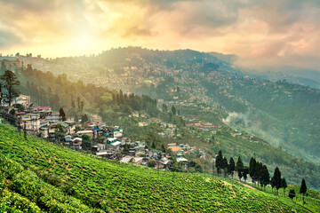 Tea plantations in Darjeeling, West Bengal, India. Stunning views of hills on sunrise.