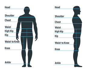 Male size chart anatomy human character, people dummy front and view side body silhouette, isolated on white, flat vector illustration.