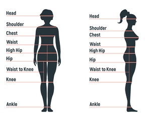 Female size chart anatomy human character, people dummy front and view side body silhouette, isolated on white, flat vector illustration.