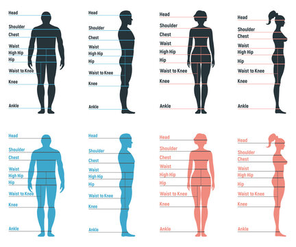 Size Chart Women Images – Browse 1,322 Stock Photos, Vectors, and Video