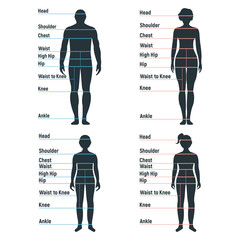 Male and female size chart anatomy human character, people dummy front and view side body silhouette, isolated on white, flat vector illustration.