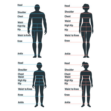 Size Chart Women Images – Browse 1,364 Stock Photos, Vectors, and Video