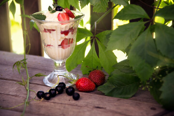 Light dessert made from blackcurrant berries, strawberries, whipped cream and mint.