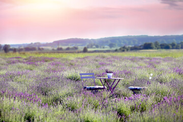 Background of a natural landscape. Furniture folding table and chairs for outdoor recreation in a blooming lavender field with a vase of lavender on the table. The concept of summer and relaxation.
