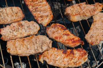 grilling pork for the forest picnic