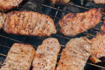 grilling pork for the forest picnic