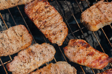grilling pork for the forest picnic