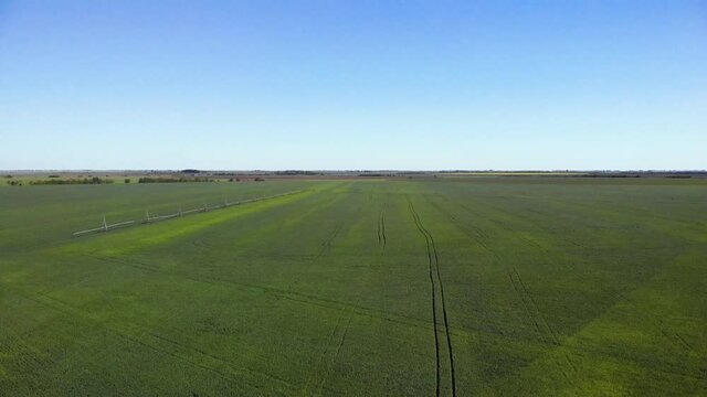Agriculture sprinklers standing on a green field. Irrigation system in field.