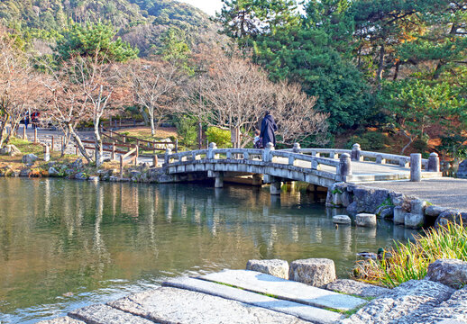 Maruyama Park near the Yasaka Shrine in Gion, Kyoto, Japan