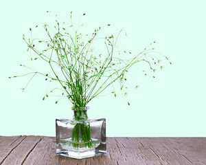 A bouquet of delicate white wild flowers in a glass vase on a wooden tabletop on mint blue background. Copy space.