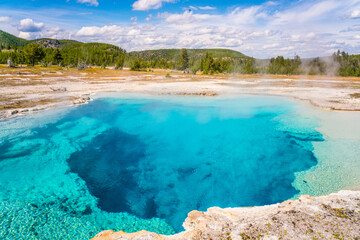 Obraz premium The colorful hot spring pools in Yellowstone National Park, Wyoming.