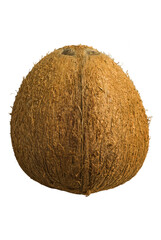 Noix de coco sur fond blanc