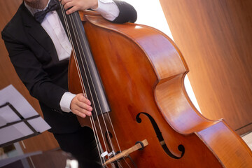 Classical musician playing  bouble bass in jazz band