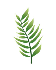 tropical leaf palm decorative icon
