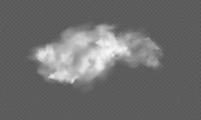 Rolgordijnen Realistic transparent cloud. Texture of clouds for template decoration, web and print, realistic texture for storm and sky. Vector Illustrations. © Elena