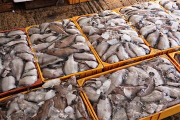 한국 경상북도 포항시 죽도시장.죽도해수욕장 입니다