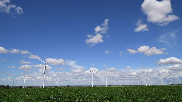 Windmills for electric power production with white cloud and blue sky at Huai Bong, Dan Khun Thot district, Nakhon Ratchasima THAILAND. renewable energy and save  environmental concept