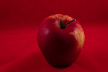 one delicious shiny apple on a red studio background