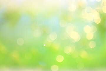 Fototapeta na wymiar spring bokeh abstract blurred background, sun glare background