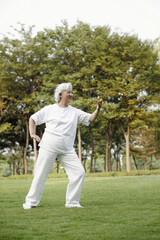 Senior woman practising tai chi in the park