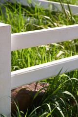 White cement fence of the farm