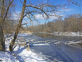 Sunny winter day on the river. Fallen tree trunks in the water covered by snow.
