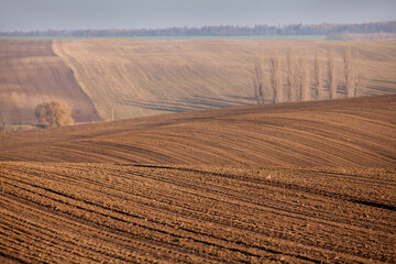 Hills of plowed fields prepared for agricultural work.