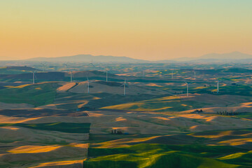Sunset view of the rolling hills and wheat field in Palouse region, in Washington, USA.