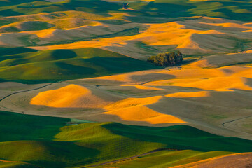 Sunset view of the rolling hills and wheat field in Palouse region, in Washington, USA.
